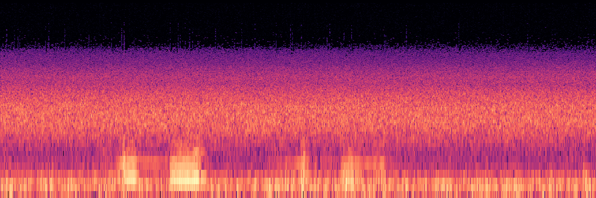 Spectrogram: Deep Insect Wingbeats